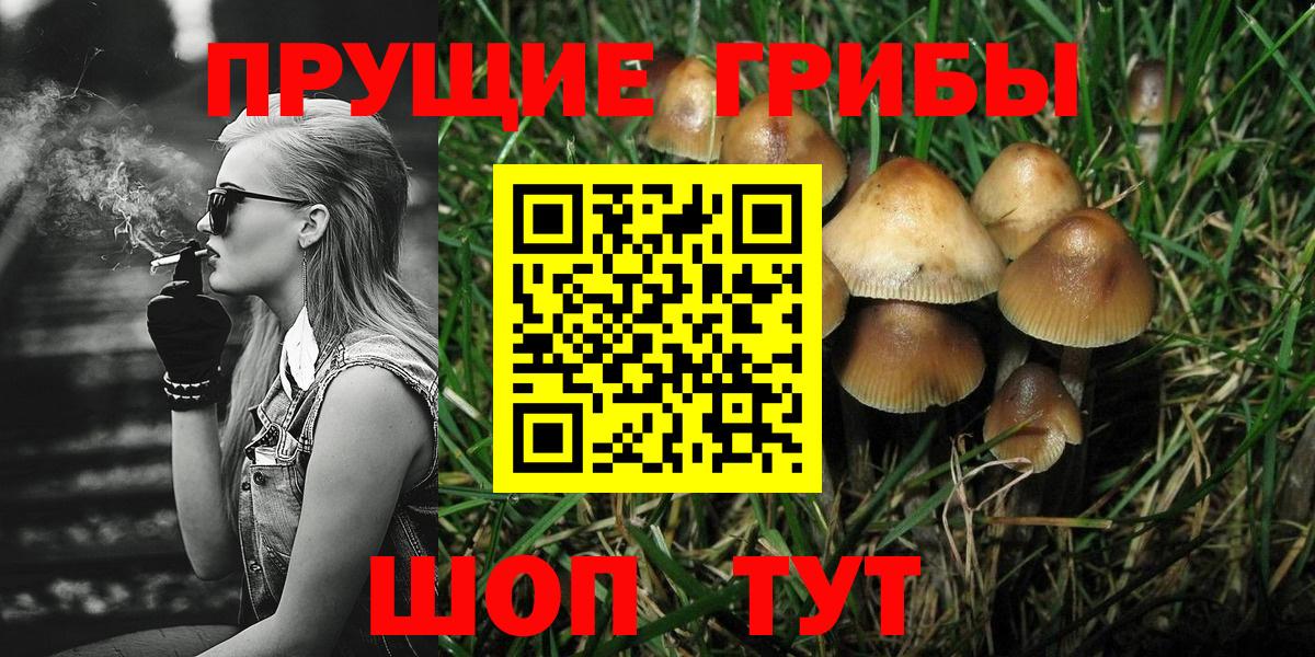 Галлюциногенные грибы Cubensis Дербент